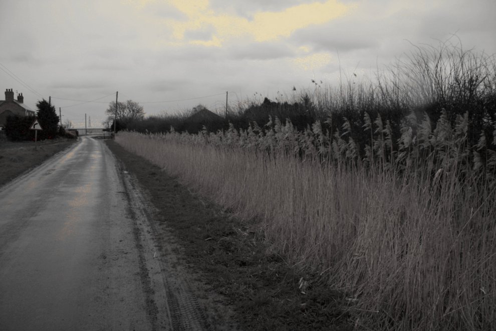 Fen road and dyke