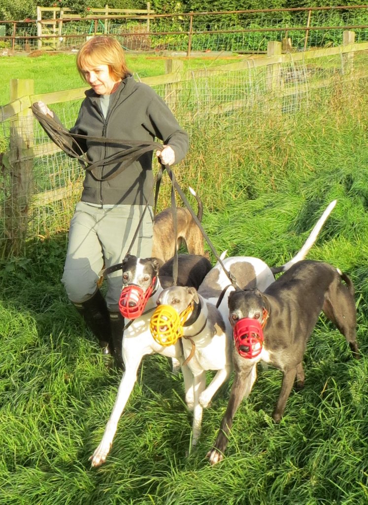 Girls together in the paddock