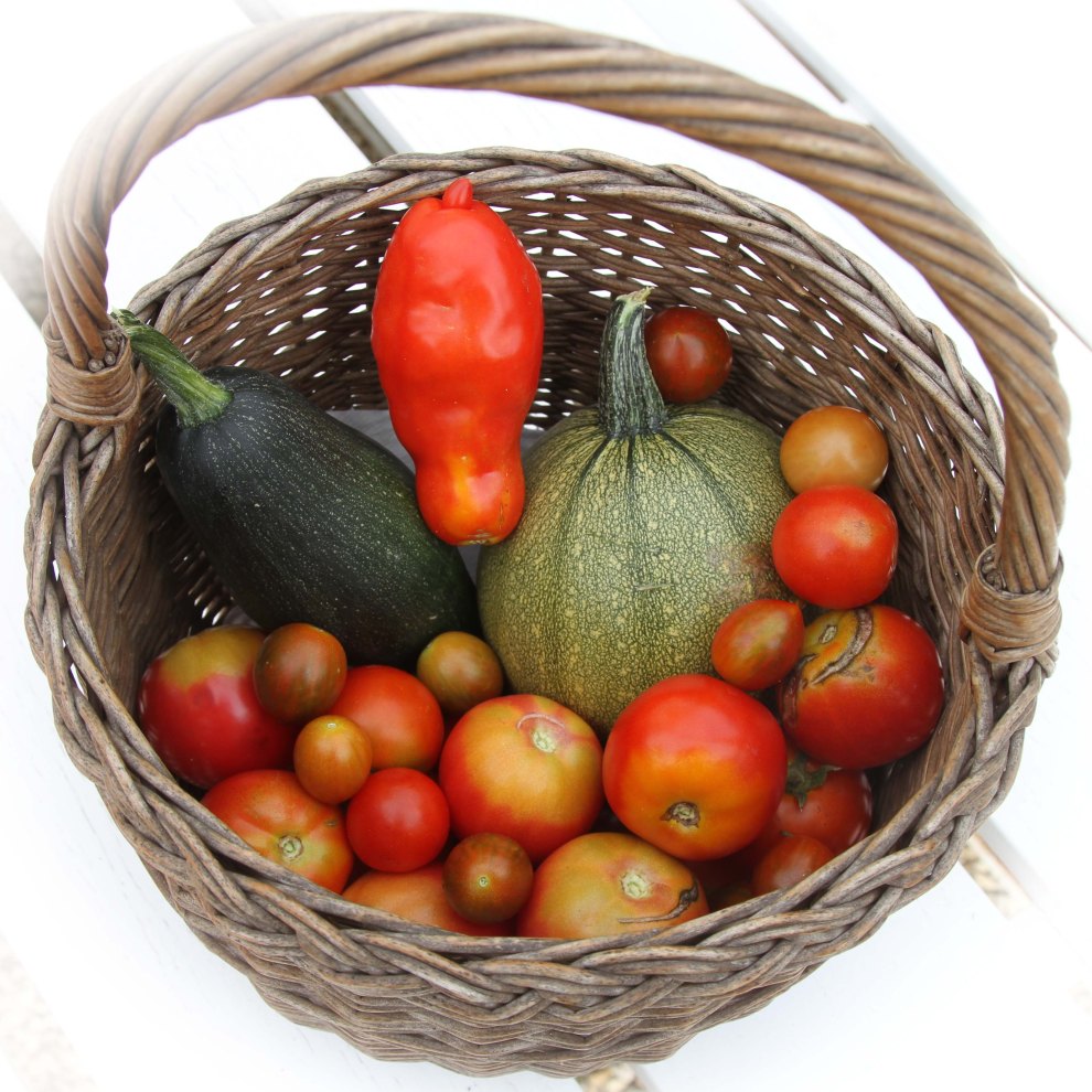 Gite owner generosity