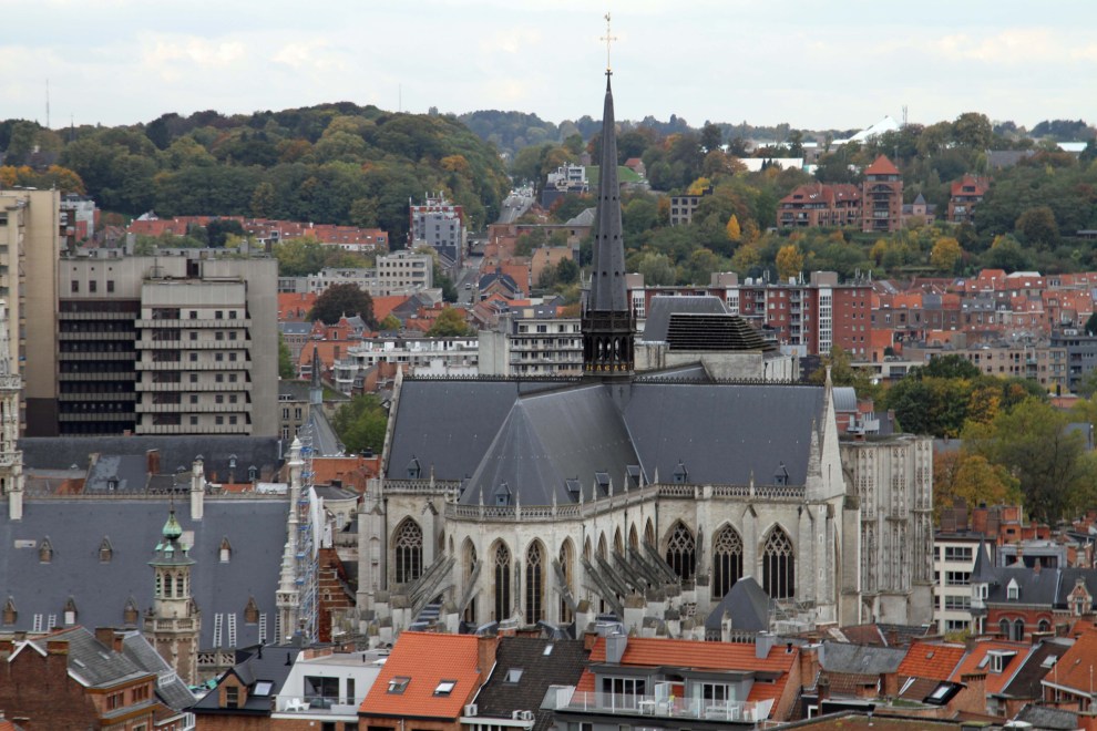 View of Sint-Pieterskerk, in the centre oLeuven, from the bell tower balcony