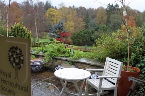 My view of patio, gardens and woodland